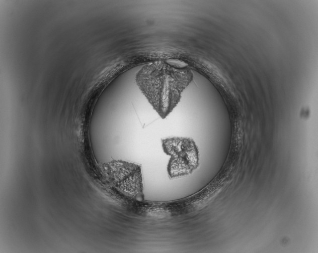 X0000100220258200806131321