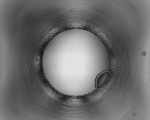 X0000100220260200806131321