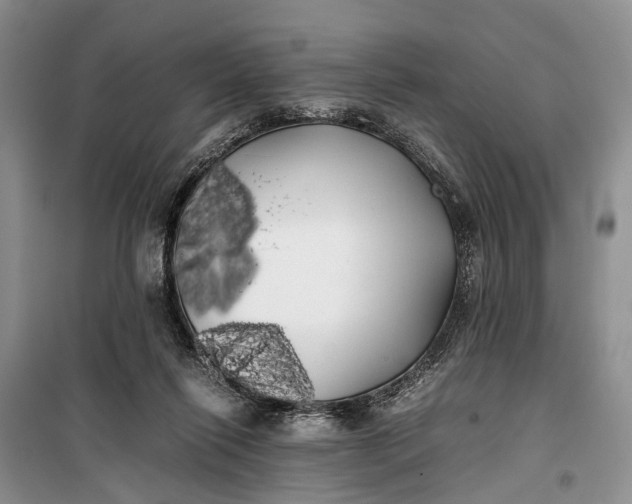 X0000100220262200806131321