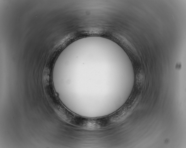 X0000100220264200806131321