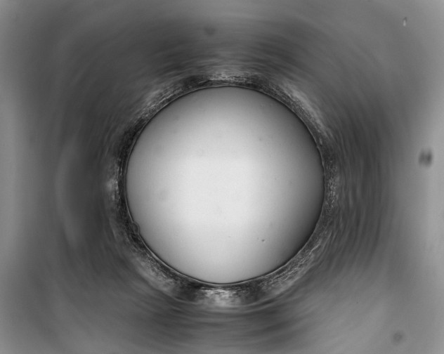 X0000100220265200806131321