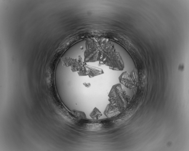 X0000100220266200806131321