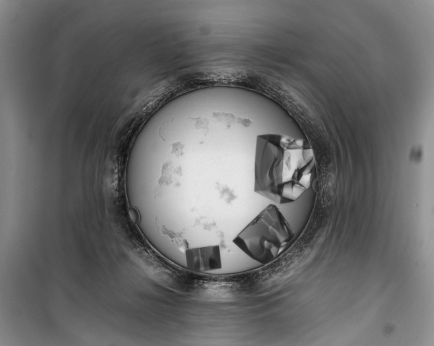 X0000100220268200806131321