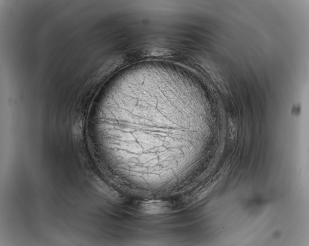 X0000100220269200806131321