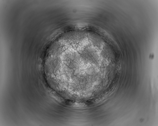 X0000100220270200806131321