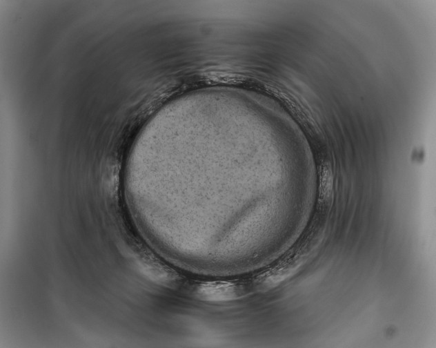 X0000100220271200806131321