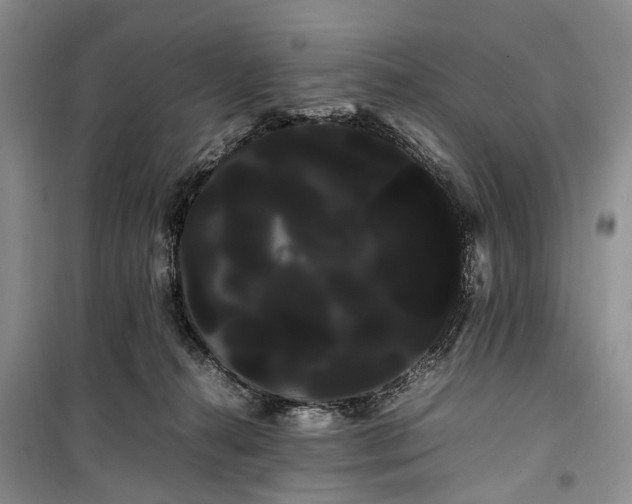 X0000100220272200806131321