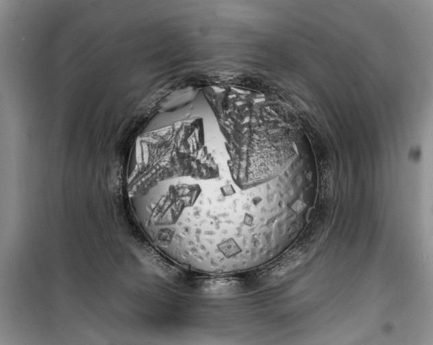 X0000100220274200806131321