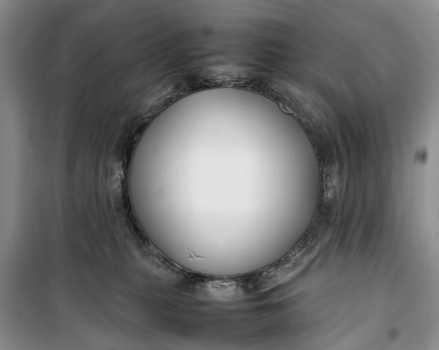 X0000100220279200806131321