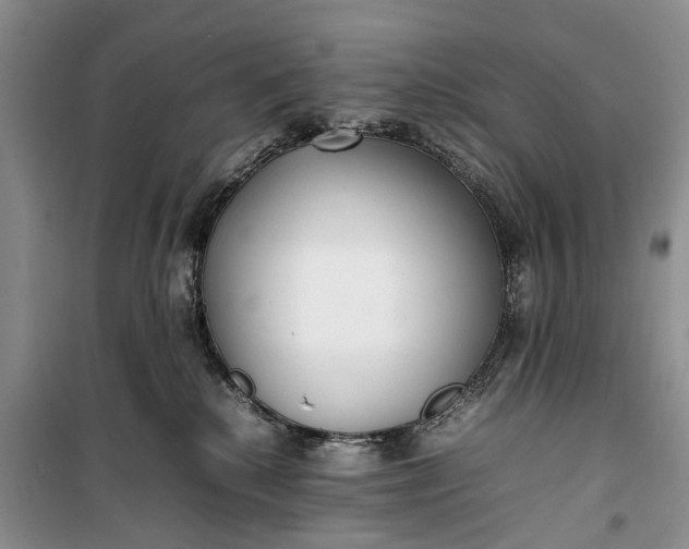 X0000100220280200806131321