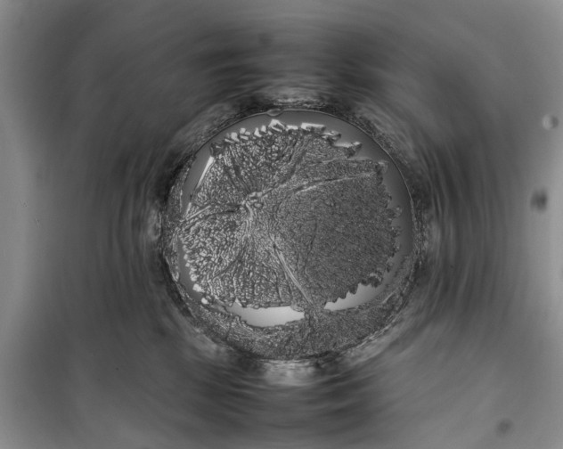 X0000100220281200806131321