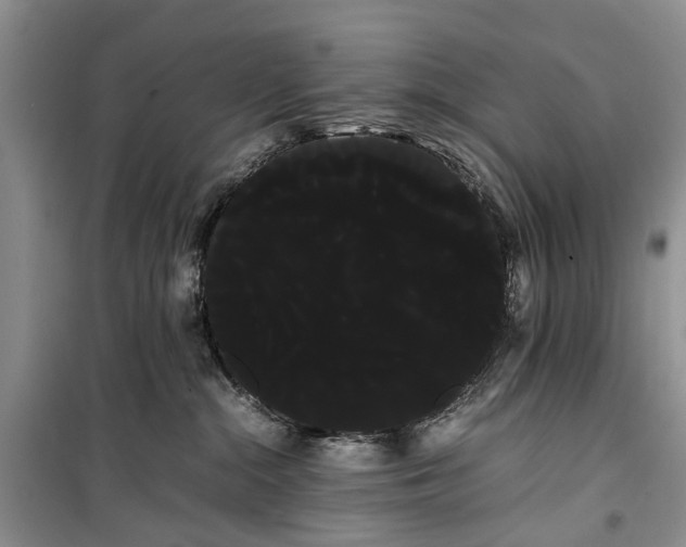 X0000100220284200806131321