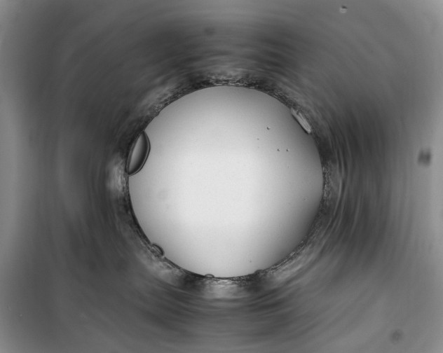 X0000100220287200806131321