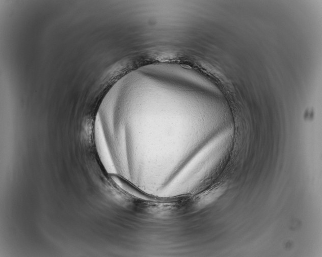 X0000100220288200806131321