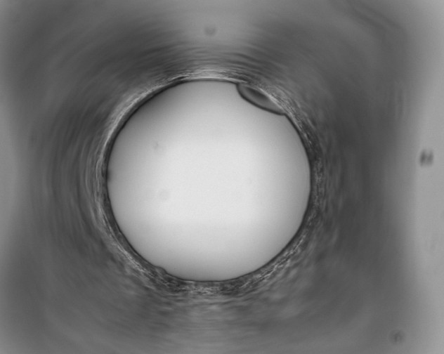 X0000100220289200806131320