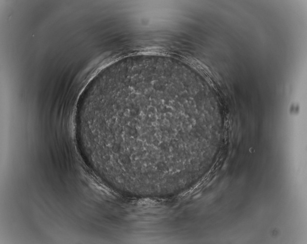 X0000100220290200806131320