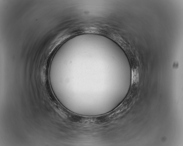 X0000100220291200806131320