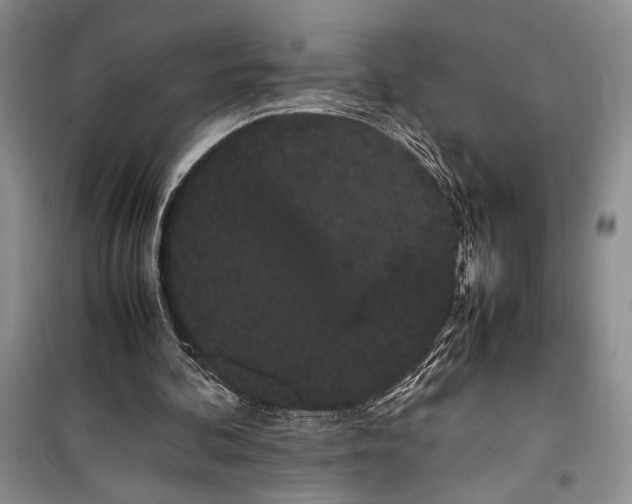 X0000100220292200806131320