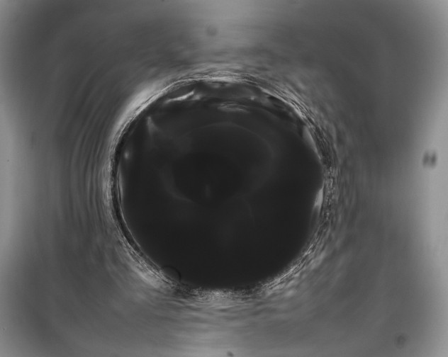 X0000100220293200806131320