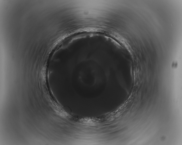 X0000100220297200806131320