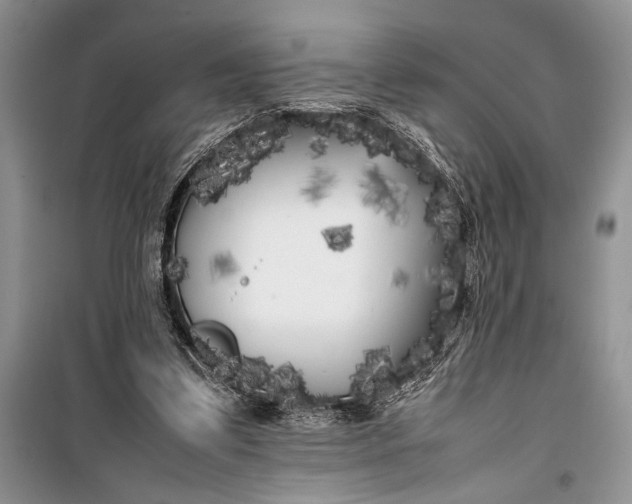 X0000100220299200806131320