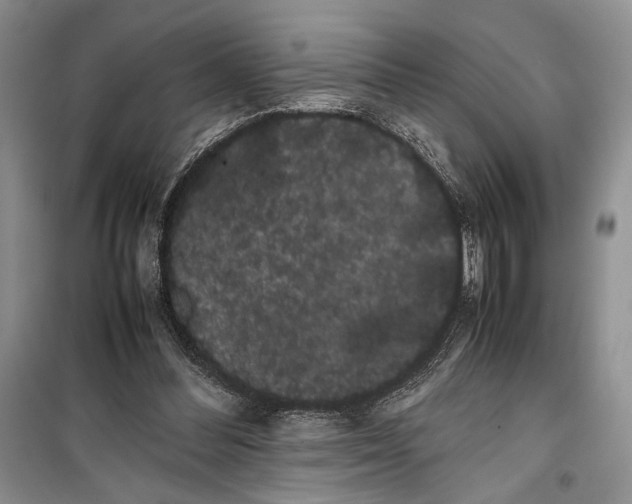 X0000100220300200806131320