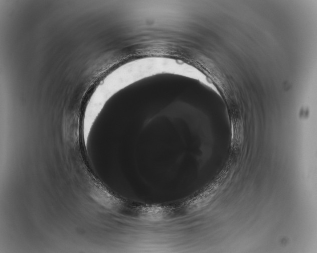 X0000100220301200806131320