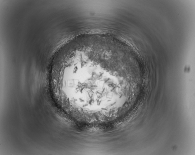 X0000100220303200806131320