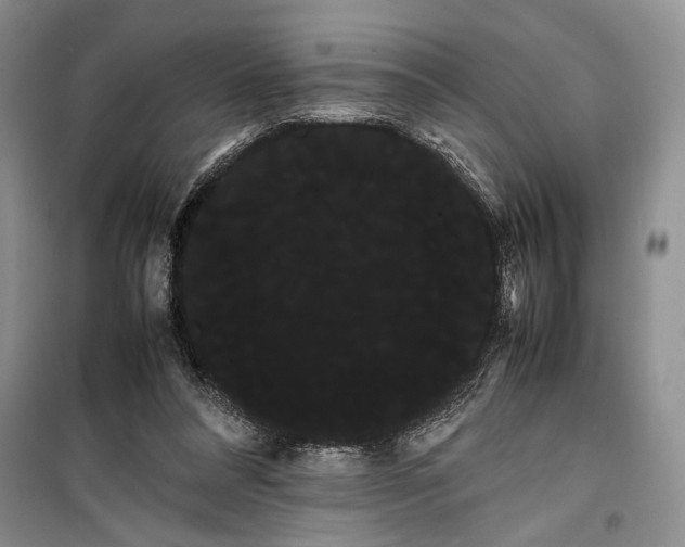 X0000100220304200806131320