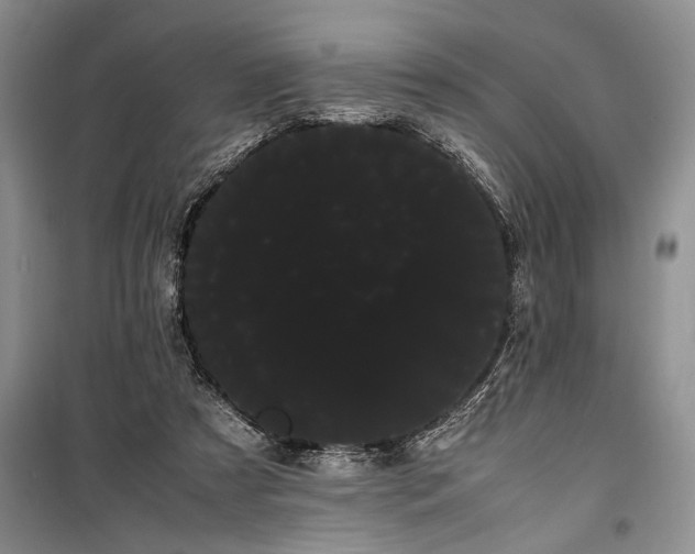 X0000100220305200806131320