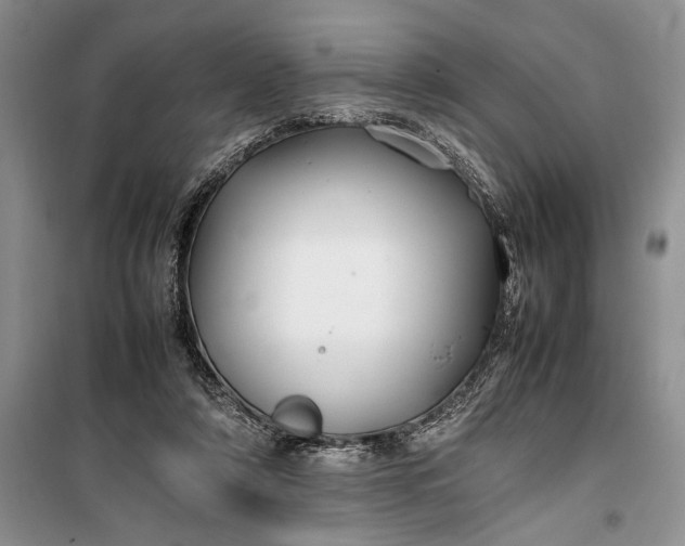 X0000100220306200806131320