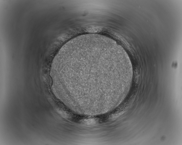 X0000100220307200806131320