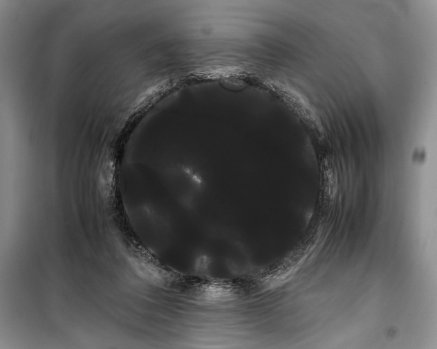 X0000100220308200806131320