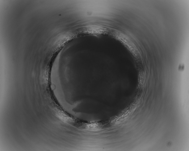 X0000100220309200806131320