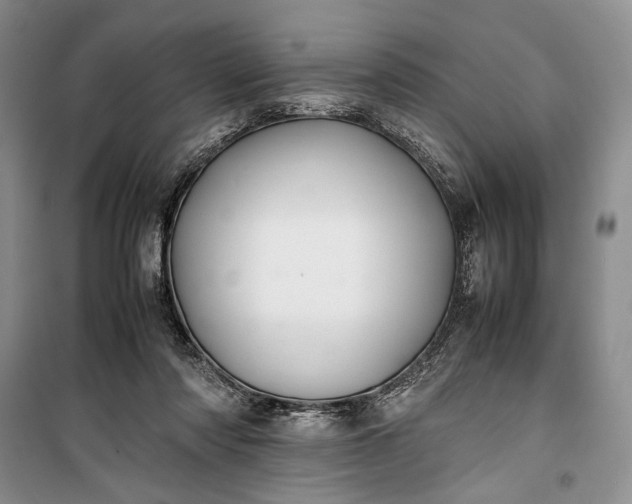 X0000100220310200806131320