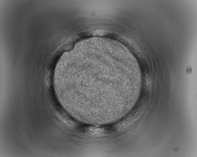 X0000100220311200806131320