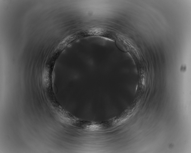 X0000100220312200806131320