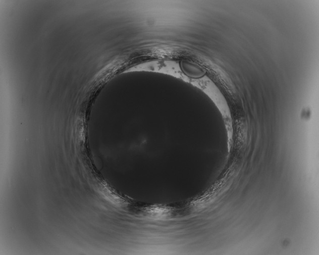 X0000100220313200806131320