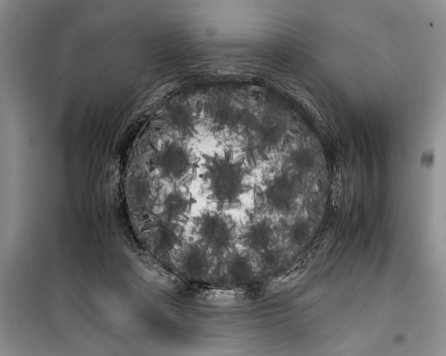 X0000100220314200806131320