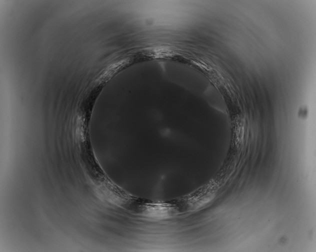 X0000100220316200806131320