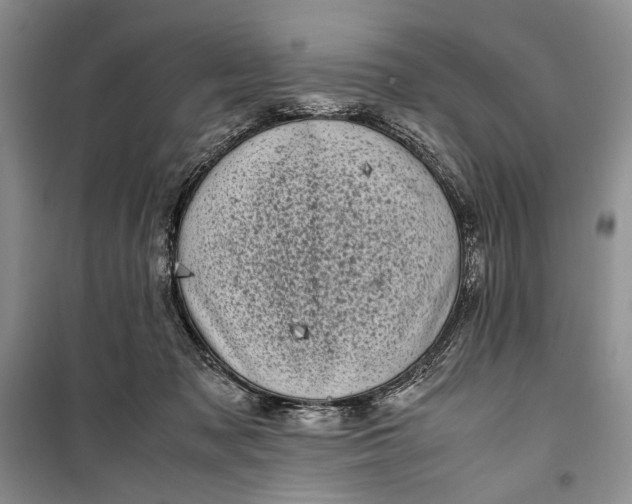 X0000100220317200806131320