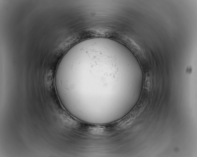 X0000100220318200806131320