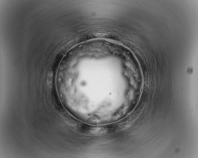 X0000100220319200806131320