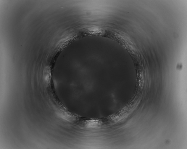 X0000100220320200806131320