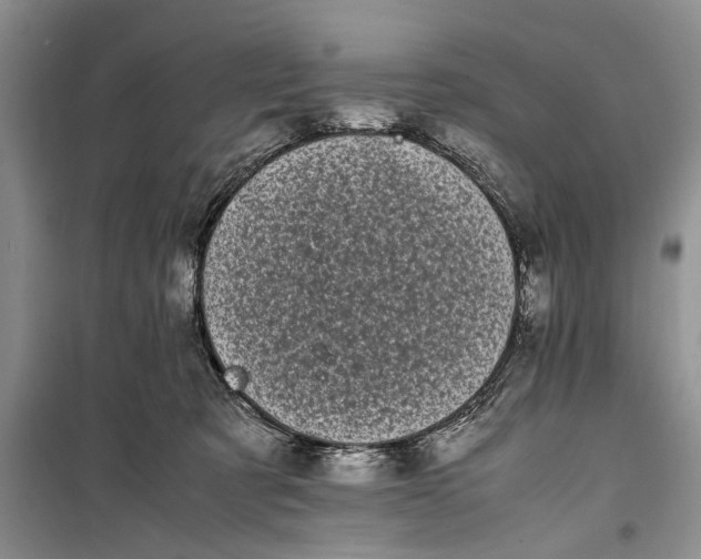 X0000100220321200806131320