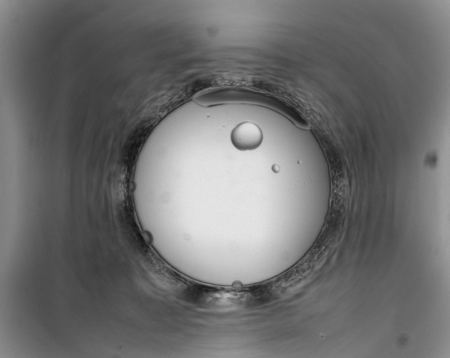 X0000100220323200806131320