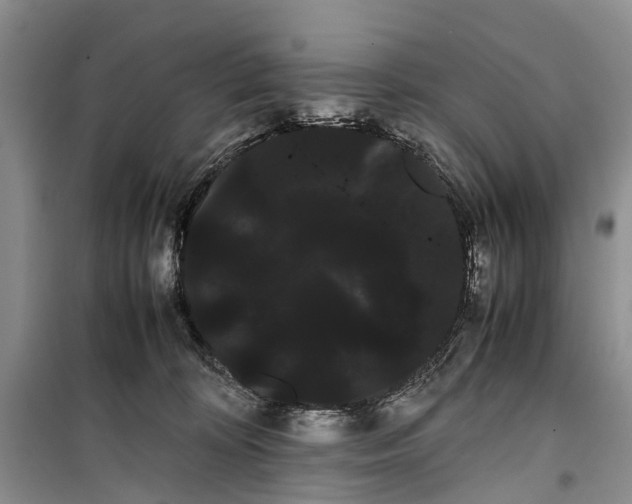 X0000100220324200806131320