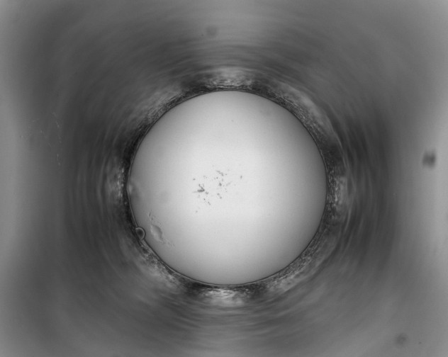 X0000100220326200806131320