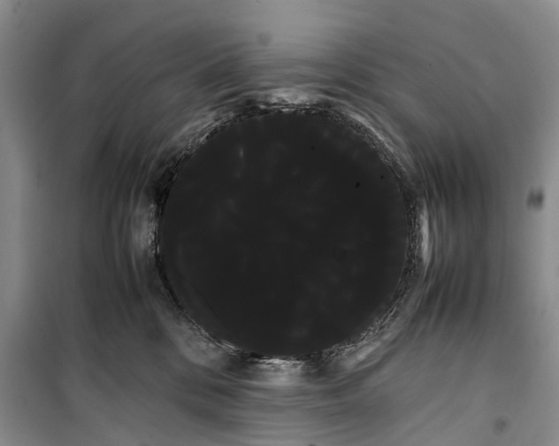 X0000100220328200806131320