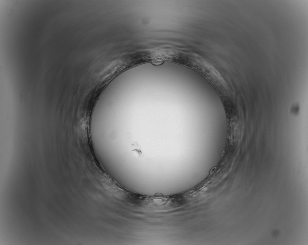 X0000100220329200806131320